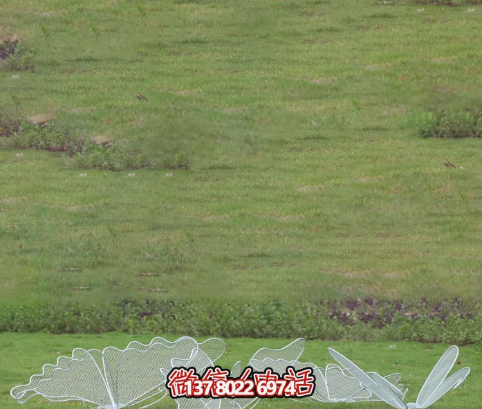 不銹鋼網(wǎng)格池塘蝴蝶雕塑 不銹鋼網(wǎng)格池塘蝴蝶雕塑